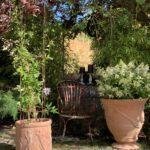 TROUVER LE BON POT POUR SA PLANTE