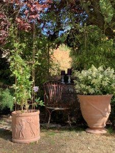 TROUVER LE BON POT POUR SA PLANTE