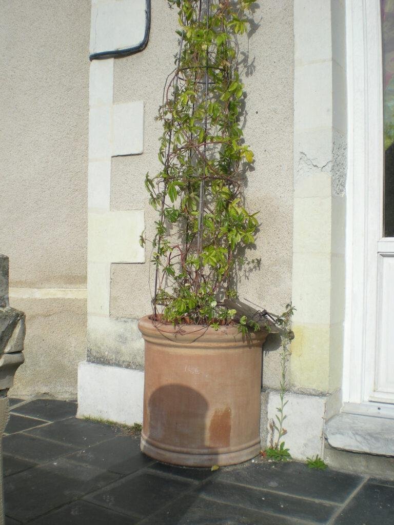 Demi pot pour facade