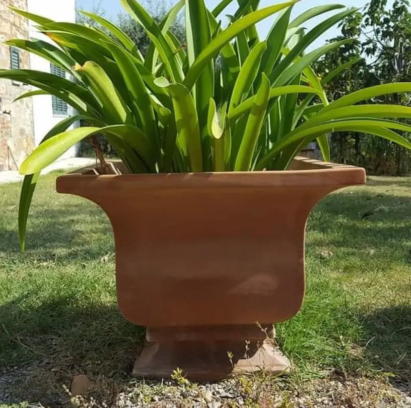 COPPA MODERNA EN SCENE