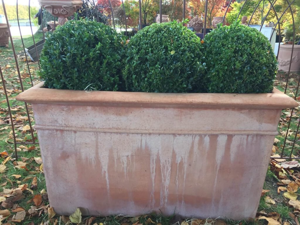 UNE MAISON EN TOSCANE CASSETTA RETTANGOLARE ALTA en terre cuite de Toscane