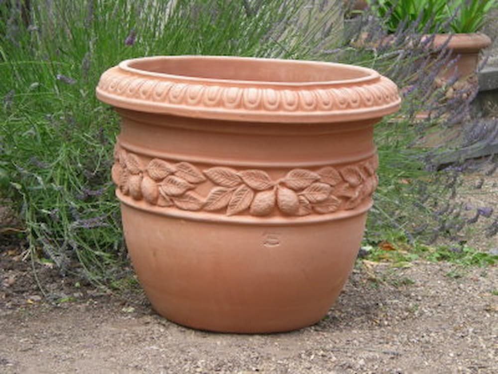 CONCA LIMONIERA en terre cuite de Toscane