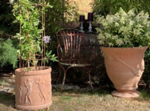 Trouver le bon pot pour sa plante