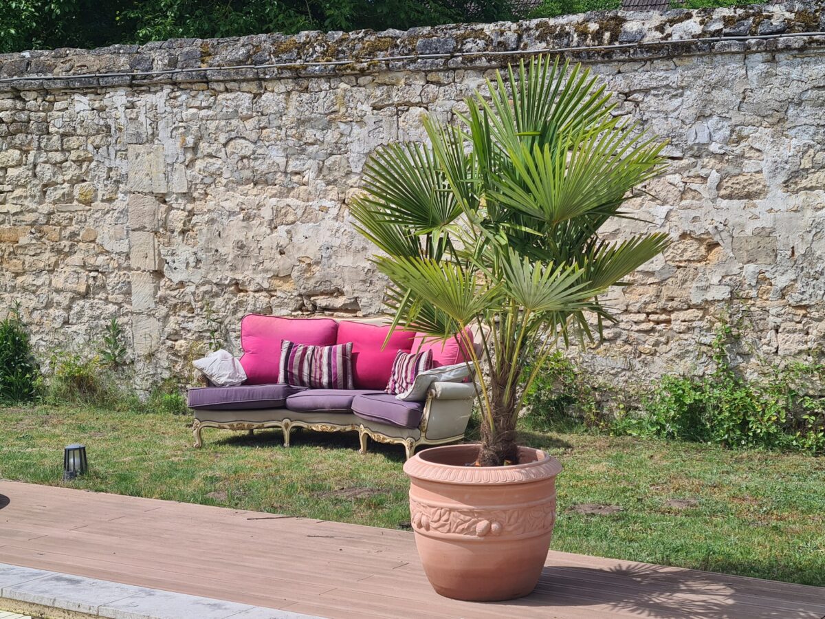 palmier terracotta piscine
