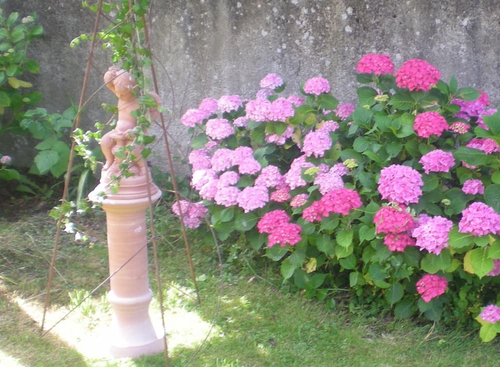 statue et hortensias